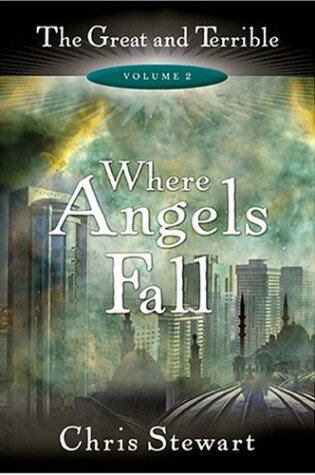 Cover of Where Angels Fall