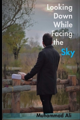 Book cover for Looking Down While Facing the Sky