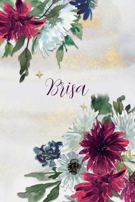 Book cover for Brisa