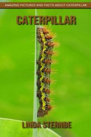 Cover of Caterpillar