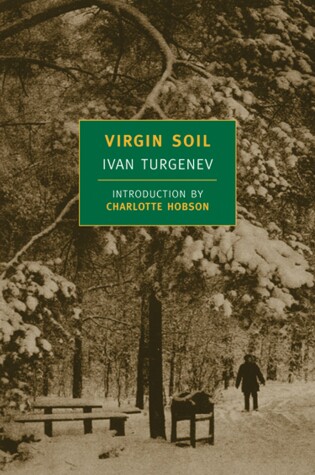 Virgin Soil