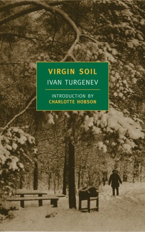 Book cover for Virgin Soil