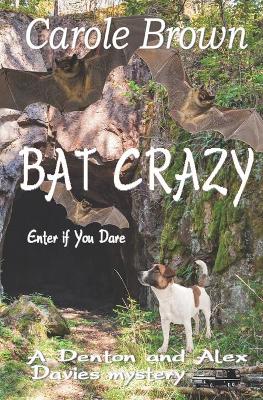Book cover for Bat Crazy