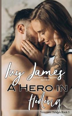 Cover of A Hero In Hiding