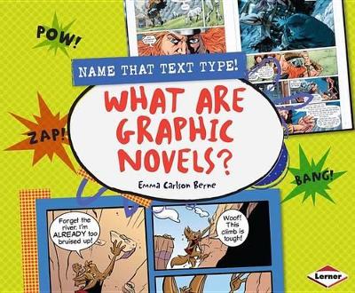 Book cover for What Are Graphic Novels?
