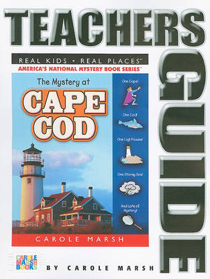 Book cover for The Mystery at Cape Cod