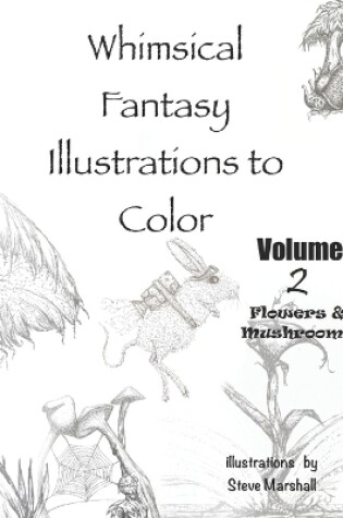 Cover of Whimsical Fantasy Illustrations to Color