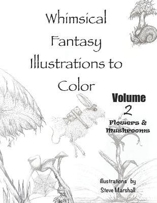 Book cover for Whimsical Fantasy Illustrations to Color