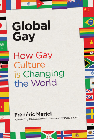 Book cover for Global Gay