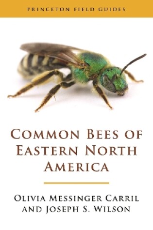 Cover of Common Bees of Eastern North America