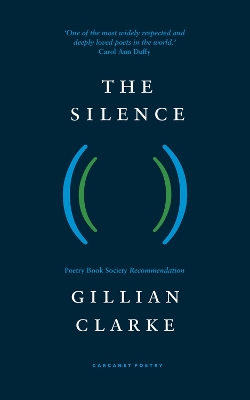 Book cover for The Silence