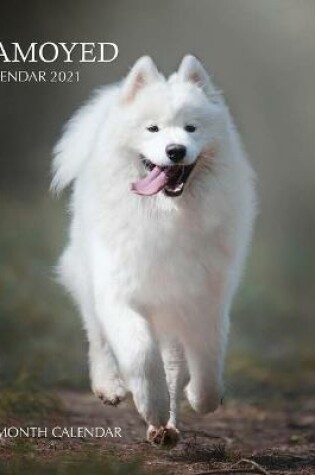 Cover of Samoyed Calendar 2021