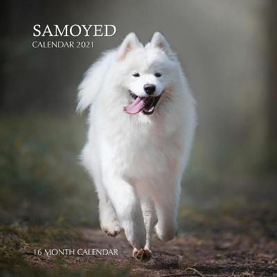 Book cover for Samoyed Calendar 2021