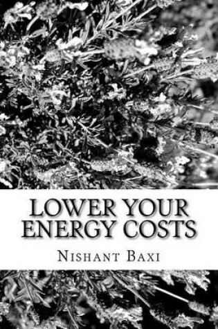 Cover of Lower Your Energy Costs