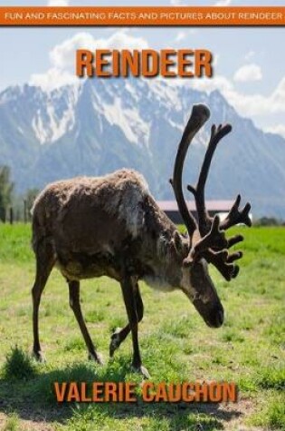 Cover of Reindeer - Fun and Fascinating Facts and Pictures About Reindeer