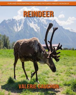 Book cover for Reindeer - Fun and Fascinating Facts and Pictures About Reindeer