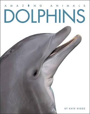 Cover of Amazing Animals: Dolphins