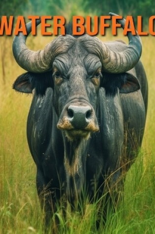 Cover of Water Buffalo