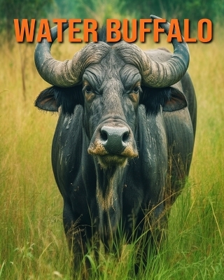 Book cover for Water Buffalo