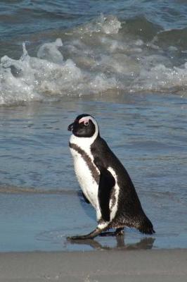 Book cover for African Penguin on the Beach Journal