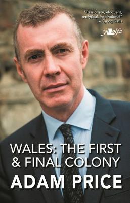 Book cover for Wales - The First and Final Colony