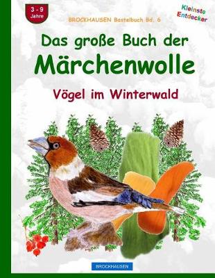 Cover of BROCKHAUSEN Bastelbuch Bd. 6