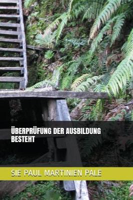 Book cover for UEberprufung Der Ausbildung Besteht