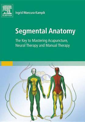 Book cover for Segmental Anatomy