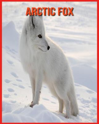 Book cover for Arctic Fox