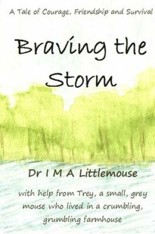 Cover of Braving the Storm