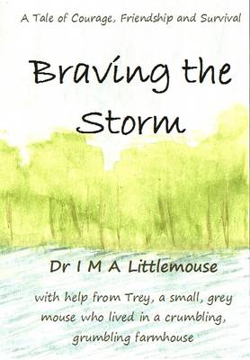 Book cover for Braving the Storm