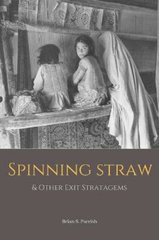 Cover of Spinning Straw & Other Exit Stratagems