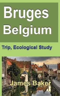 Book cover for Bruges, Belgium