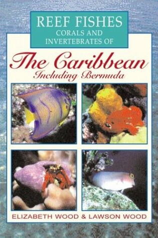 Cover of Reef Fishes Corals and Invertebrates of the Caribbean