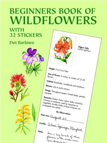 Book cover for Beginners Book of Wildflowers