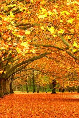 Book cover for Magnificent Fall Foliage in Croatia