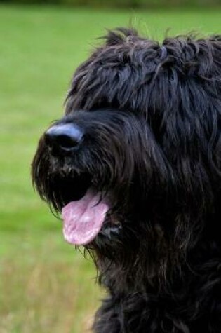 Cover of Black Briard Dog Journal