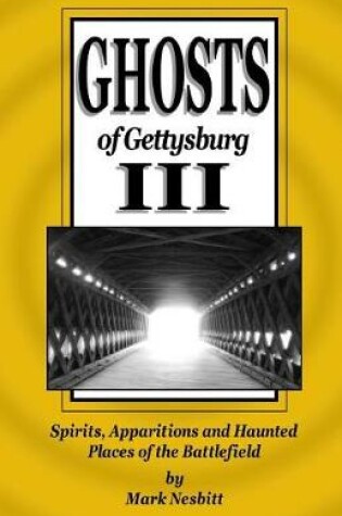 Cover of Ghosts of Gettysburg III