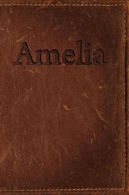 Book cover for Amelia