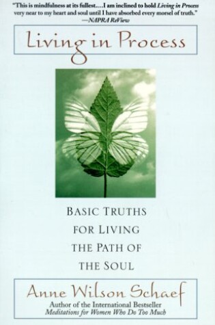 Cover of Living in Process