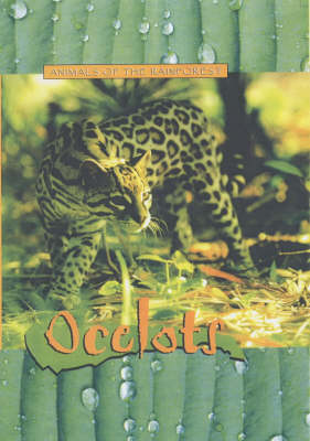 Cover of Ocelots