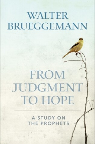 Cover of From Judgment to Hope