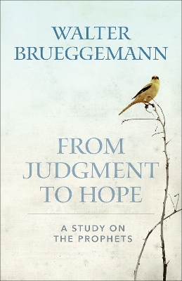 Book cover for From Judgment to Hope
