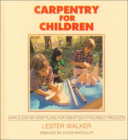 Book cover for Carpentry for Children