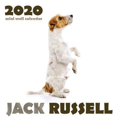 Book cover for Jack Russell 2020 Mini Wall Calendar