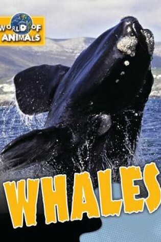 Cover of Whales