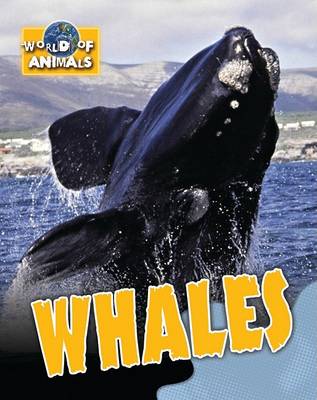 Cover of Whales