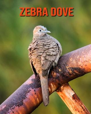 Book cover for Zebra Dove