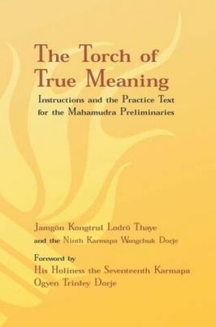 Cover of Torch of True Meaning