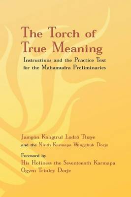 Book cover for Torch of True Meaning